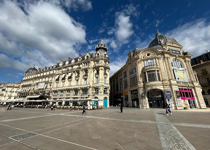 T2 Centre Historique écusson
